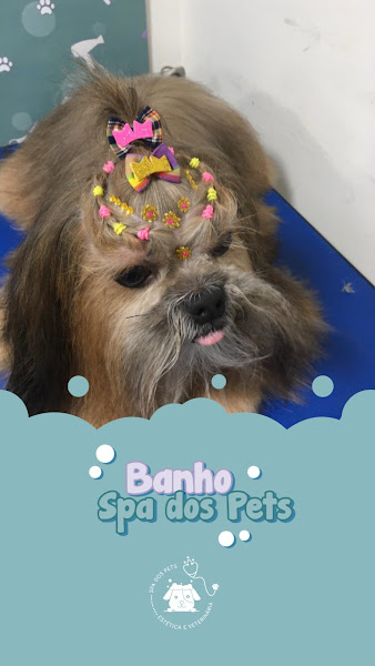 Foto 4 Spa dos Pets