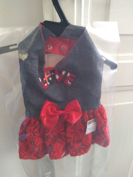 Foto 3 Clínica Veterinária Francisco De Assis