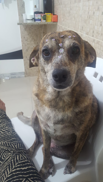 Foto 4 Agromix Pituba