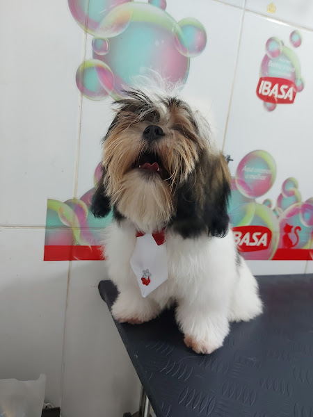 Foto 1 Animalize Pet Shop