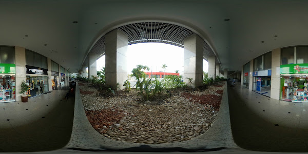 KITCHUCO PETS - Caminho das Árvores