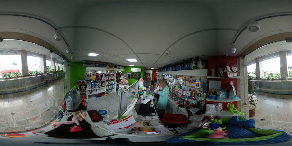 Foto 3 KITCHUCO PETS - Caminho das Árvores