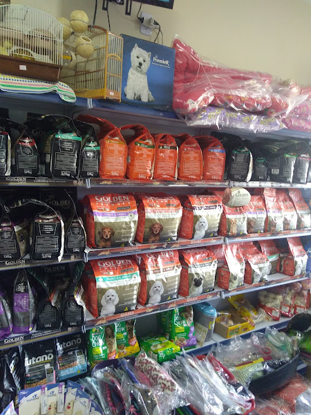 Foto 1 Suricates Pet Shop