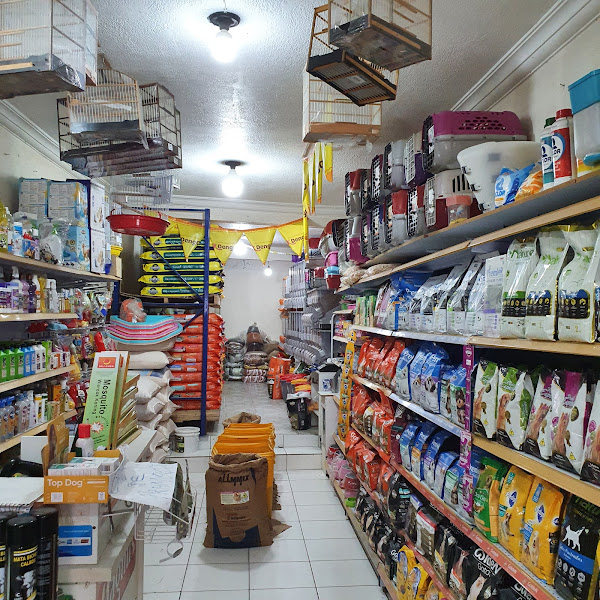 Foto 1 Êta Bicho Itapuã