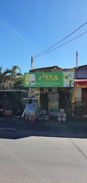 Foto 2 Êta Bicho Itapuã