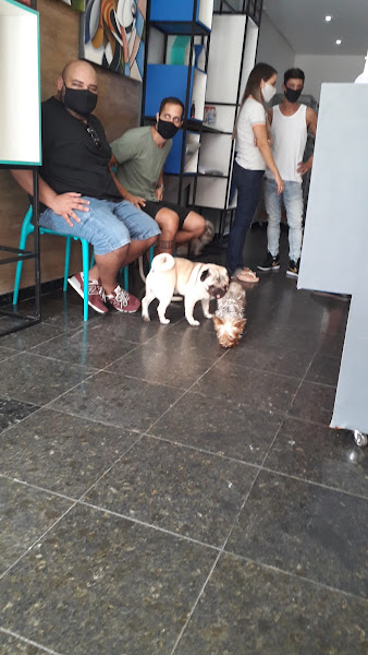 Foto 5 Mimo's Pet Shop e Consultório Veterinário