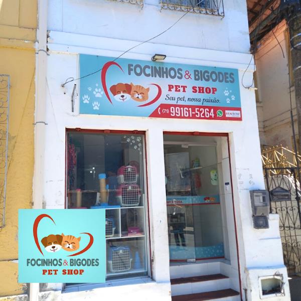 Foto 3 Focinhos & Bigodes Pet Shop Foto 3 Focinhos & Bigodes Pet Shop