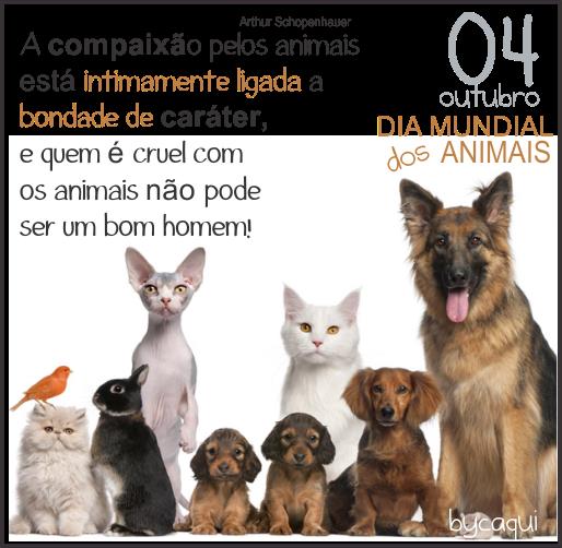 Foto 2 Pet Shop Snoopy Garden