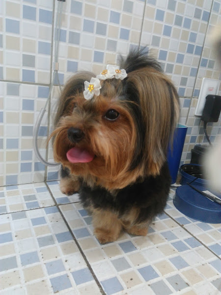 Foto 3 Pet Shop Snoopy Garden