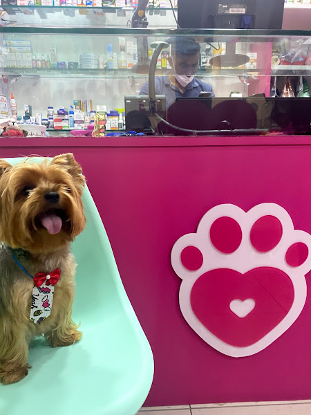 Foto 3 Amado Pet Shop (Shopping Bela Vista)