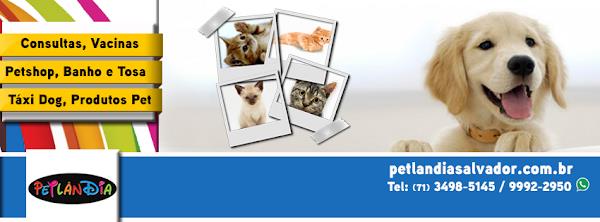 Foto 3 Petlândia Salvador