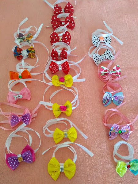 Foto 2 Pet Mais D. Maria