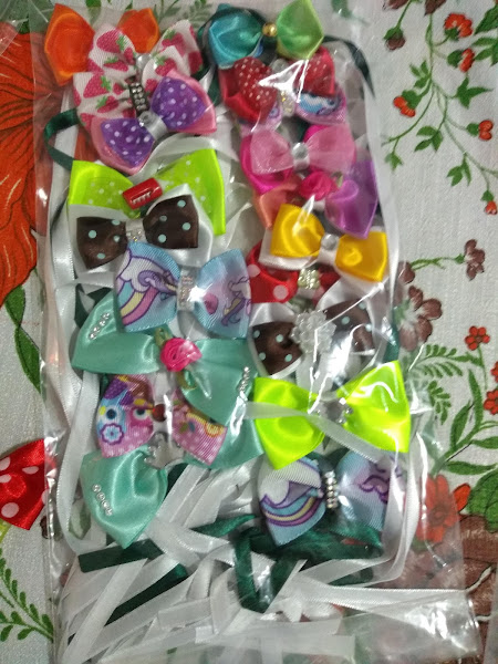 Foto 4 Pet Mais D. Maria