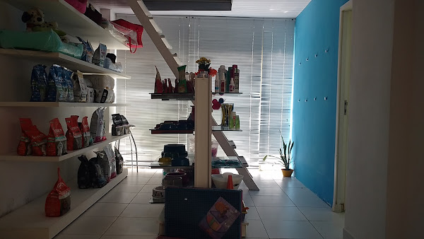 Foto 1 Banho de Gato