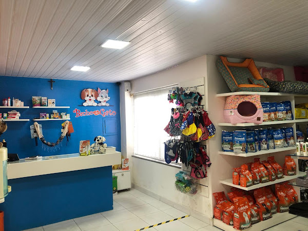 Foto 2 Banho de Gato