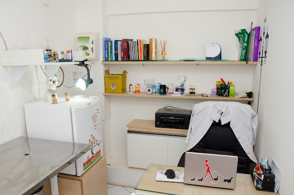 Foto 4 Petik Centro Estético Animal - Petshop