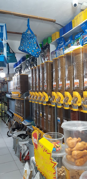 Foto 3 AMORA PET SHOP