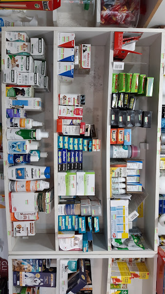 Foto 6 AMORA PET SHOP