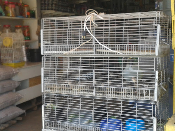 Foto 1 Agro Rocha Pet Shop