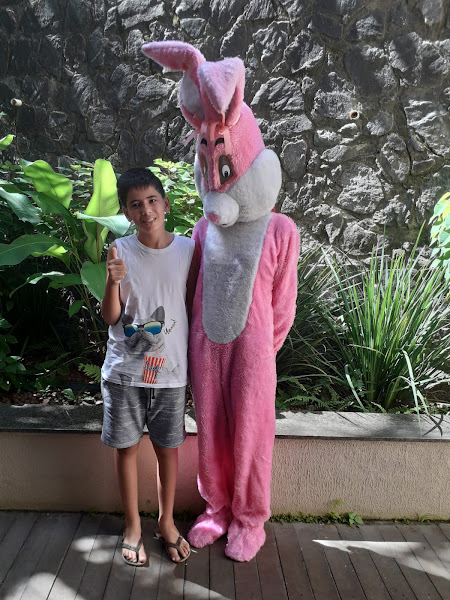 Foto 1 Mimos Petshop Foto 1 Mimos Petshop