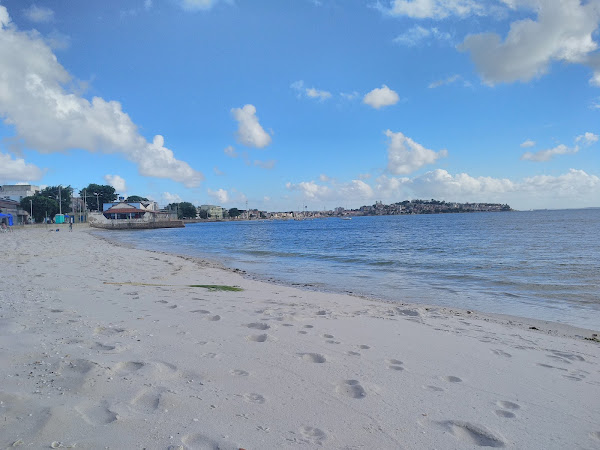 Patas e Focinhos Pet Shop Patas e Focinhos Pet Shop