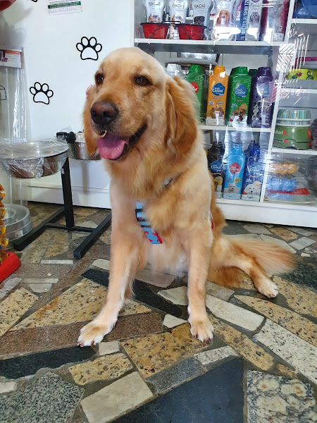 Foto 1 Amor De Bicho Pet Shop