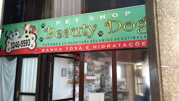 Beauty Dog