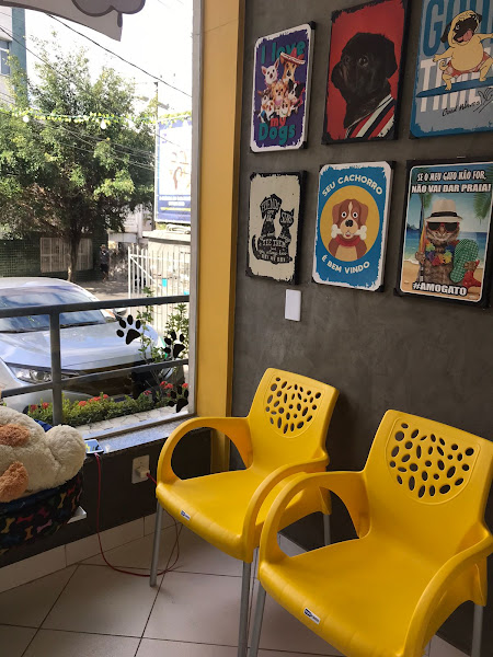 Foto 1 PET SHOP 4 PATAS | PET SHOP NO GARCIA