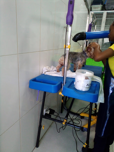 Pet Shop João Grandão