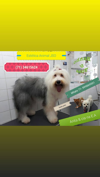 Foto 6 Pet shop Estética Animal J.S.O.