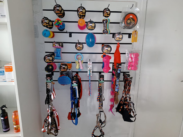 Foto 2 Miau-Au Pet Center