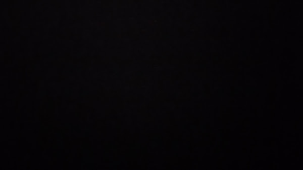 Foto 1 Petland Pituba