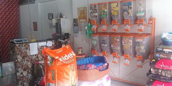 Foto 2 Petshop vira-Lata