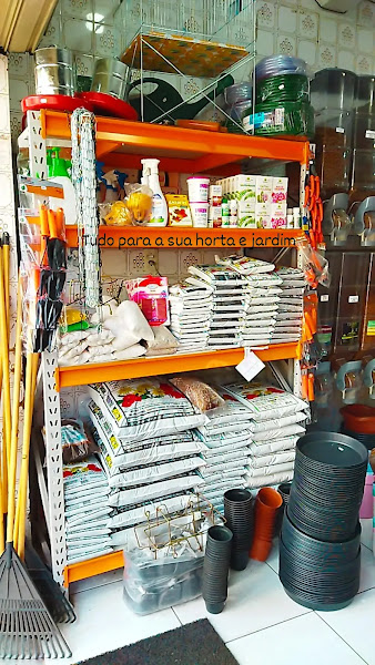 Foto 1 Alegria dos animais