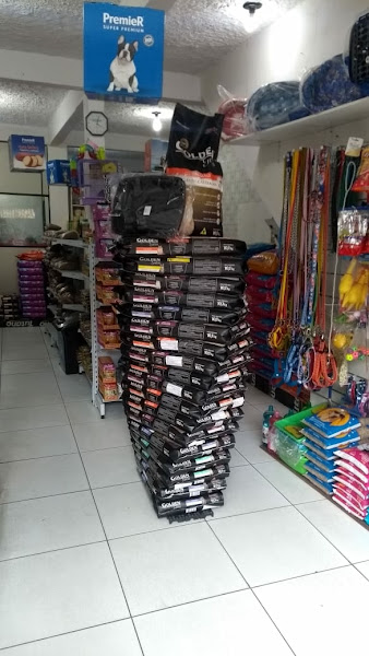 Foto 4 Alegria dos animais