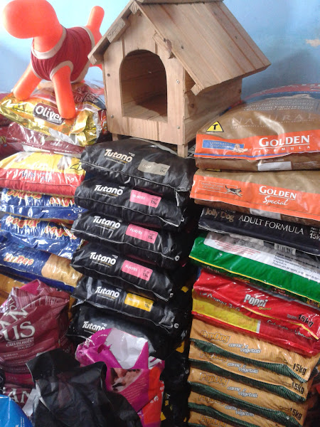 Foto 2 Inemar Aquários