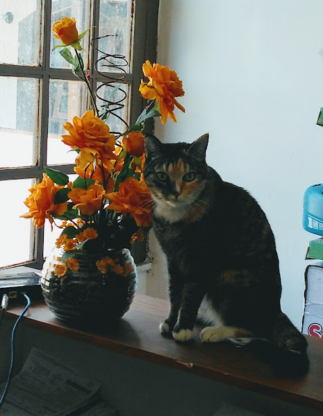 Foto 1 Casa do Amigo