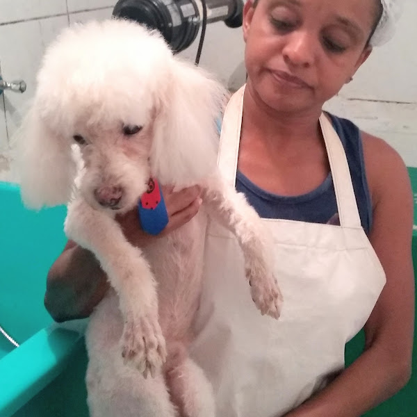 Foto 3 Amicão Pet Shop