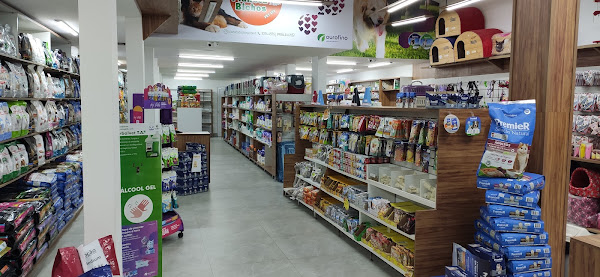 Foto 1 Planeta Bichos