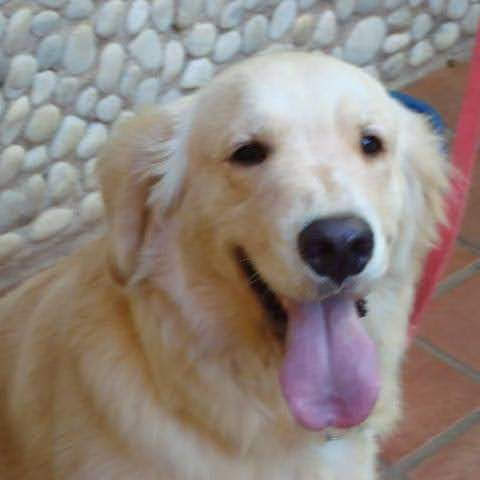 Foto 5 Planeta Bichos Foto 5 Planeta Bichos