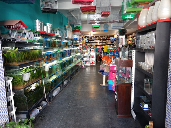 Planeta Aquário & PET