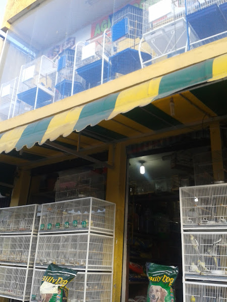 Agro Rocha Agro Rocha