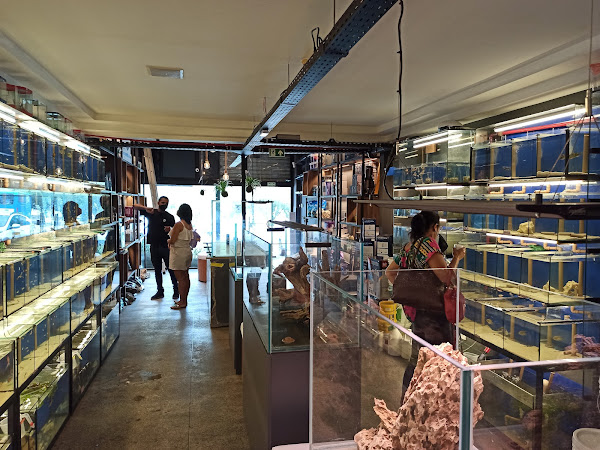 Foto 1 Aquário Estilos