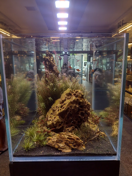 Foto 2 Aquário Estilos