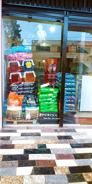 Foto 2 Bichinhos de Casa Pet Shop