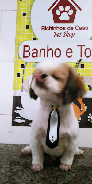 Foto 4 Bichinhos de Casa Pet Shop