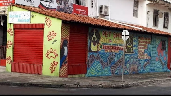 Pet Shop Reino Animal