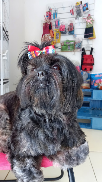 Foto 1 Cura+ativa pet