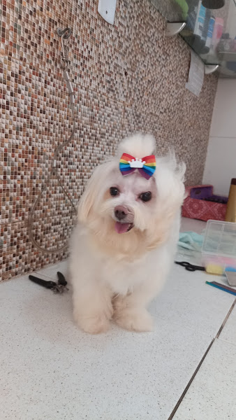 Foto 2 Cura+ativa pet