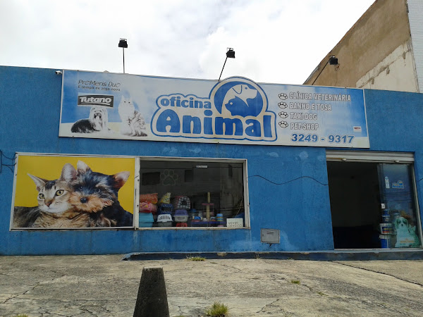 Oficina Animal